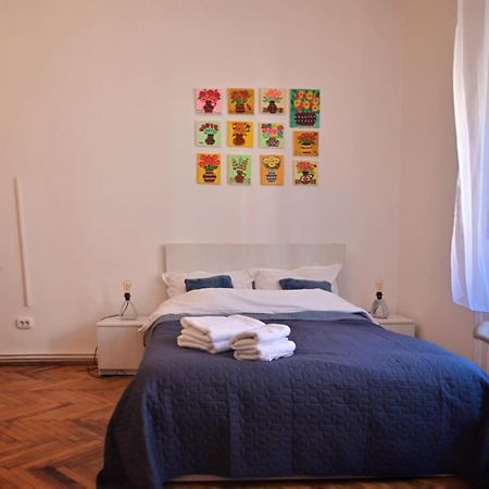 טימישוארה Travel And Music Apartment מראה חיצוני תמונה